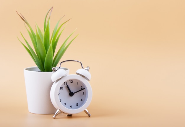 Weiße Uhr mit grüner Pflanze auf einem rosa Hintergrund