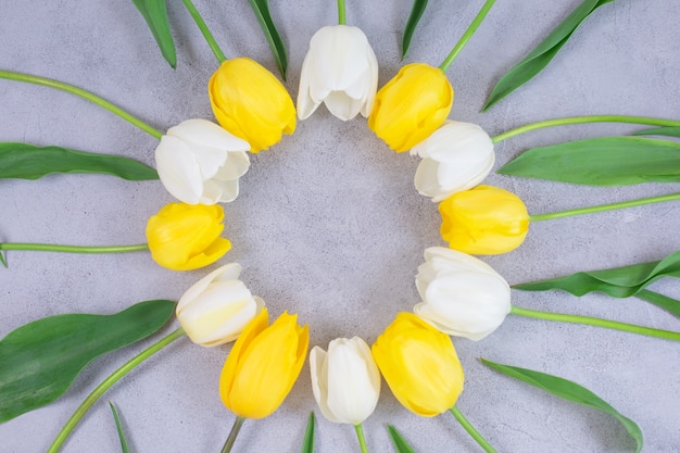 Weiße und gelbe Tulpenblumenkreisrahmen auf grauer Oberfläche