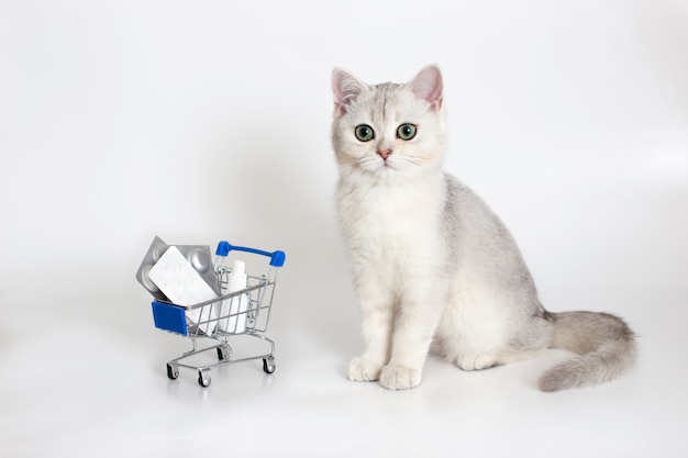 Weiße und graue Katze sitzt auf einer weißen Oberfläche mit einem Einkaufswagen voller Pillen und Medikamente. Medikamente und Produkte für die Haustiere.