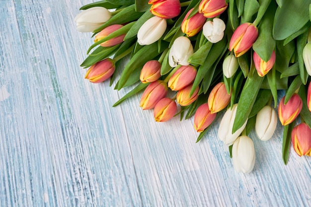 Weiße und rote Tulpen auf hellblauem Hintergrund. Urlaubshintergrund, Kopierraum. Geburtstag, Muttertag, Valentinstag Konzept.