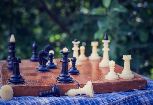 Weiße und schwarze Schachfiguren auf dem Brett im Garten in der Natur