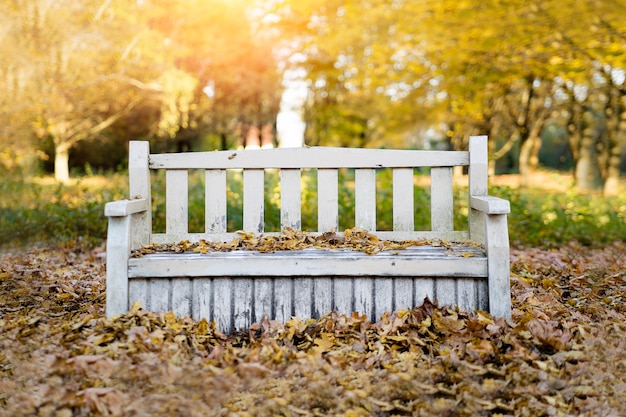 Weiße Vintage Bank im Herbstpark.