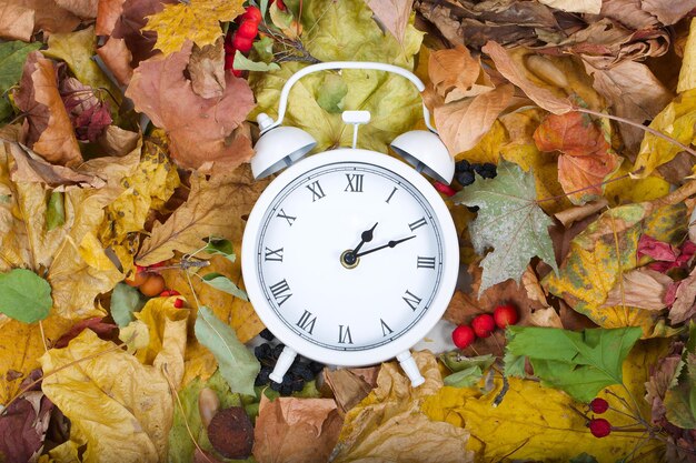 Foto weiße vintage-uhr auf getrockneten blättern.