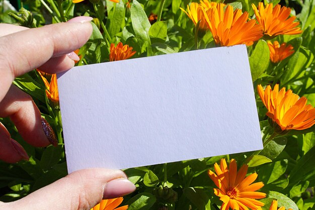 Weiße Visitenkartenvorlage Hand mit Blumen Mockup