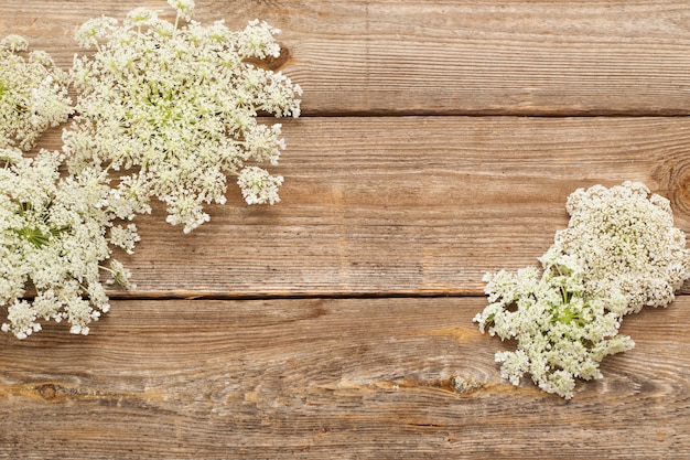 Weiße Wildblumen auf altem Holz