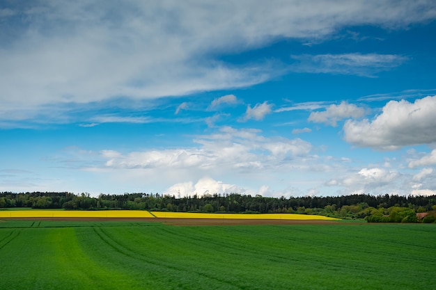 Weiße Wolke auf Hintergrund des blauen Himmels mit Sonnenschein