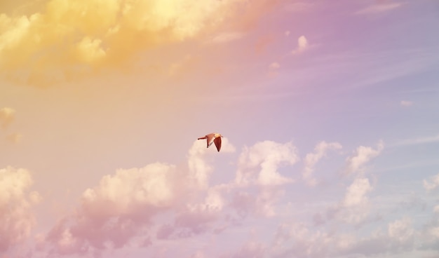 weiße wolken in einem blauen himmel farbe sonnenuntergang sommer