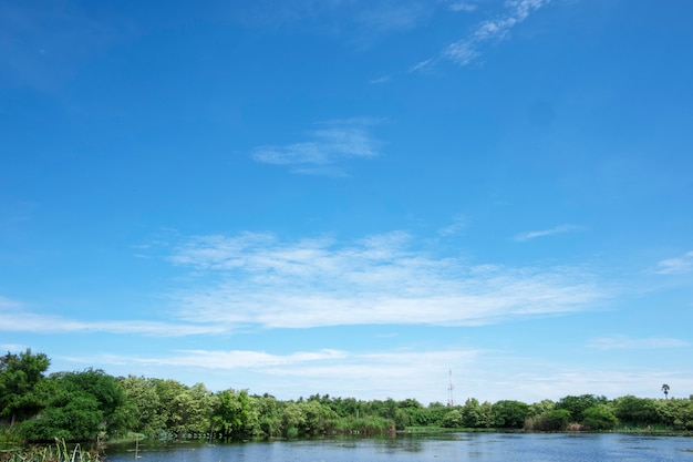 Weiße Wolken und blauer Himmel mit Bäumen der schönen Ansicht gestalten Gebrauch für Anzeige landschaftlich