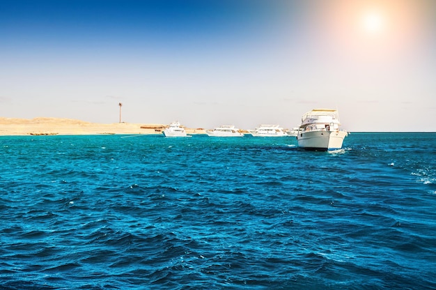 Weiße Yachten im Roten Meer. Schöne sommerliche Meereslandschaft