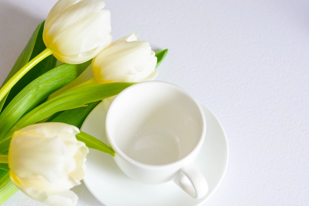 Weiße zarte Frühlingstulpen und eine Tasse Tee auf weißem Hintergrund
