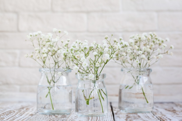 Foto weiße zarte schleierkrautblüten in glasvasen auf hellem hintergrund. blumenkomposition im hauptinnenraum. weicher fokus