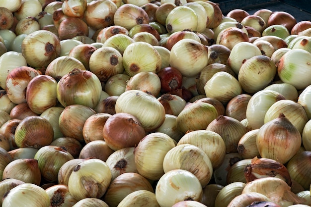 Weiße Zwiebel auf Straßenmarktstall