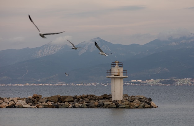 Weißer alter leuchtturm und fliegende möwen