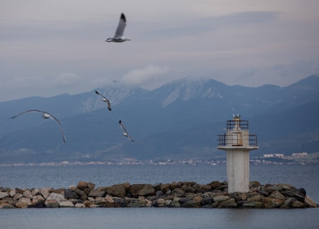 Weißer alter Leuchtturm und fliegende Möwen