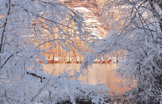 Weißer Ast mit Frost bedeckt vor einem von der Sonne beleuchteten Fluss