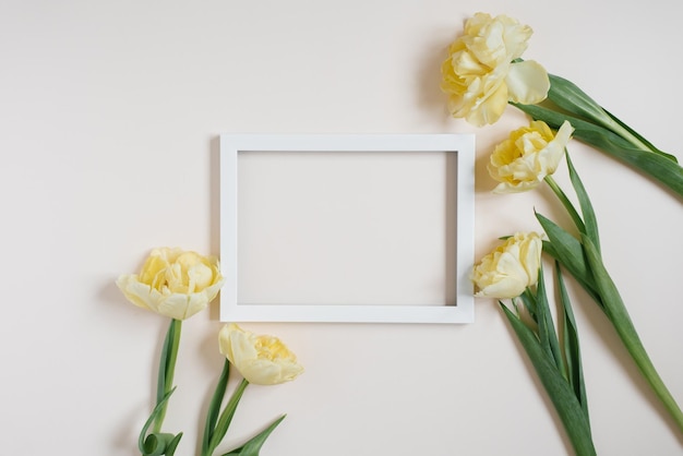 Weißer Fotorahmen aus Holz, eingerahmt mit gelben Tulpenblumen auf einem Leuchttisch Flache Karte