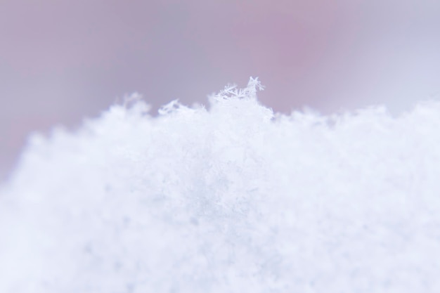 Weißer, grauer, verschwommener abstrakter Hintergrund, weicher Hintergrund der Natur, Makrobilder von Schneefall auf Rosa