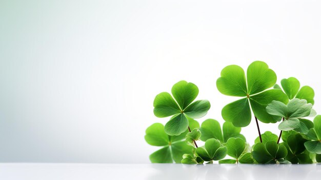 Weißer Hintergrund mit einem einsamen Satz von grünen Kleeblättern, Schamrock, St. Patrick's Day, Generative AI