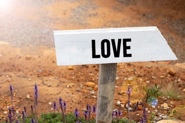 Foto weißer hölzerner wegweiser mit dem wort liebe