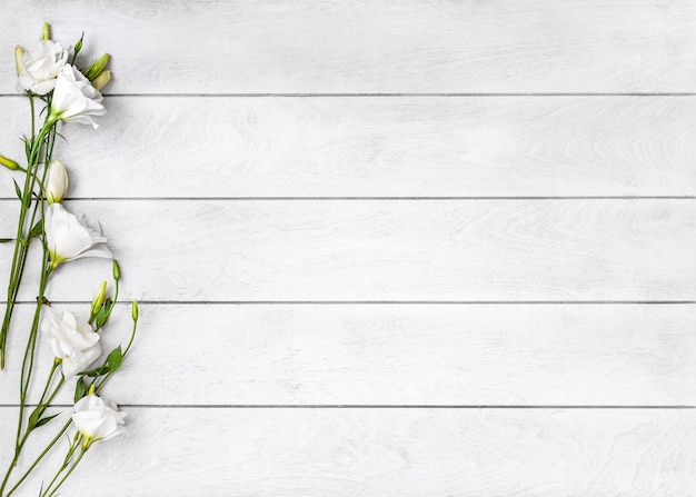 Weißer Holzhintergrund und weiße Blüten von Eustoma oder Lisianthus auf der linken Seite Draufsicht flach liegend Hintergrund für Inschriften am Muttertag 8. März Internationaler Frauentag Geburtstag