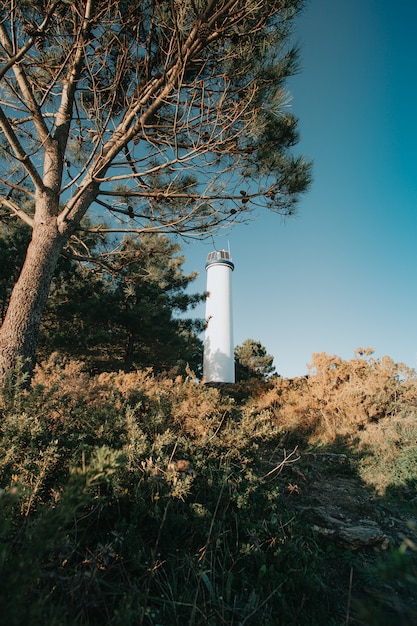 Weißer Leuchtturm zwischen den Bäumen