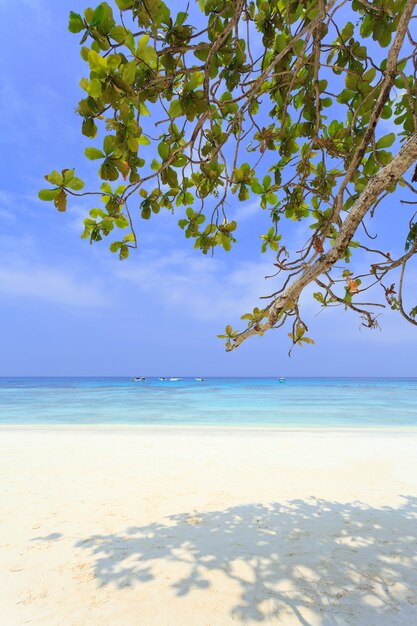 Weißer Sandstrand und blauer Himmel