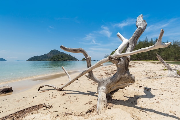 Weißer Sandstrand und Langheckboot auf der Insel Kham-Tok (Koh-Kam-Tok),