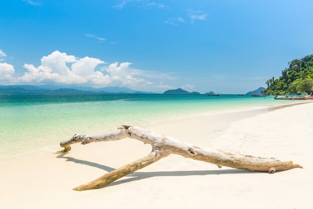 Weißer Sandstrand und Longtail-Boot in Khang Khao Island (Bat Insel), das schöne Meer Ranong Prov