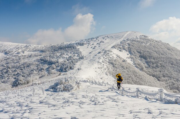 weißer Schnee des Winters von Sobaeksan-Berg in Korea.