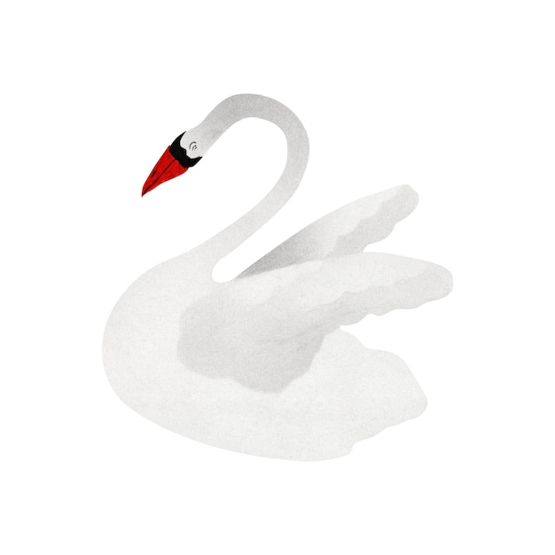 Weißer Schwan Vintage-Illustration durchsichtig png