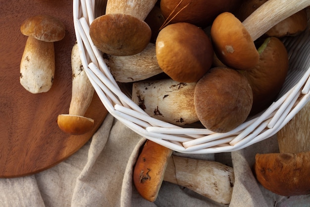 Weißer Weidenkorb mit Steinpilzen. Draufsicht.