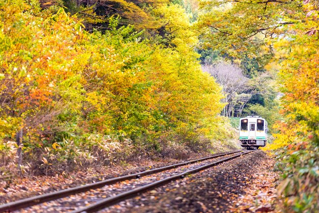 Weißer Zugpendler Fukushima Japan