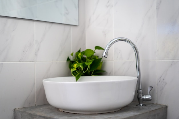 Weißes abgerundetes Waschbecken mit silbernem Wasserhahn und einer Pflanze im Badezimmer