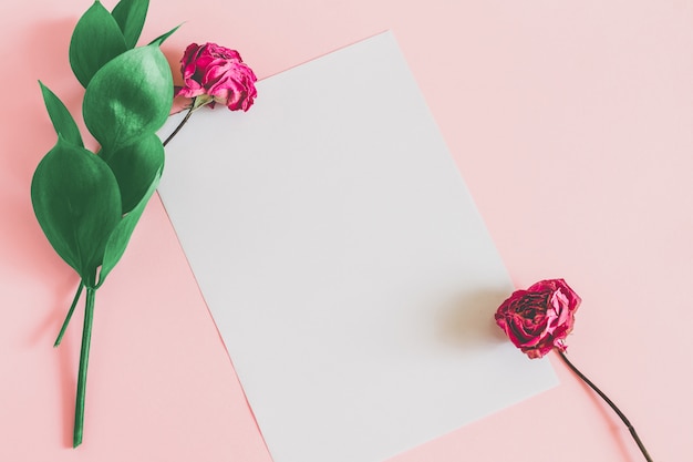 Weißes Blatt Papier auf einem Rosa mit grünen Blättern und einer trockenen Rosarose