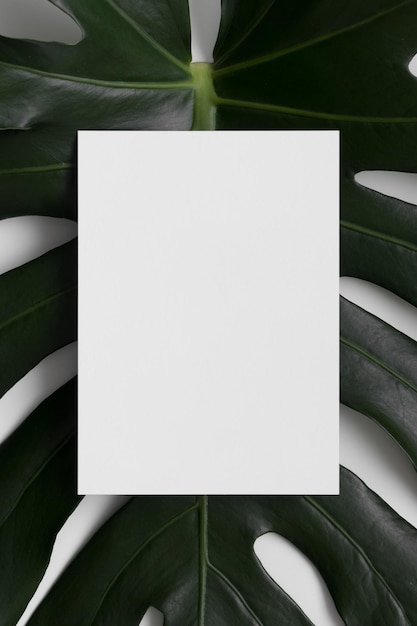 Weißes Einladungskartenmodell mit einem Monstera-Blatt im Verhältnis 5 x 7 ähnlich A6 A5