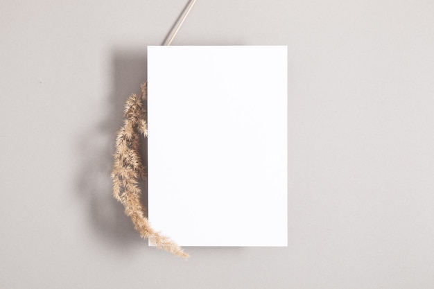 Weißes Einladungskartenmodell mit getrocknetem Gras auf grauem Hintergrund Flacher Draufsichtkopierraum