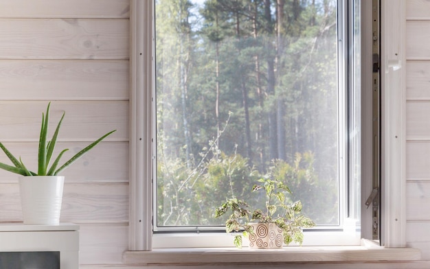 Weißes Fenster mit Moskitonetz in einem rustikalen Holzhaus mit Blick auf den Garten