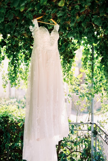 Weißes Hochzeitskleid hängt an einem hölzernen Kleiderbügel an einem Baum zwischen grünem Laub