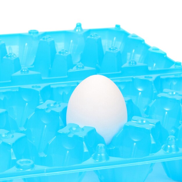 Weißes Hühnerei im blauen Plastikbehälter