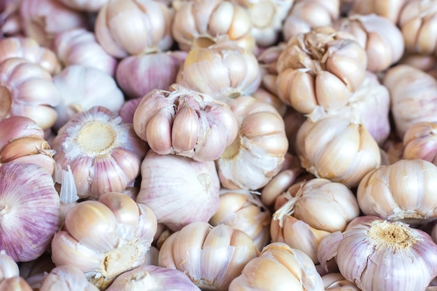 Weißes Knoblauchfleisch Frischer Knoblauch im Markttisch Nahaufnahmefoto Vitamine gesunde Lebensmittel Gewürze Bild