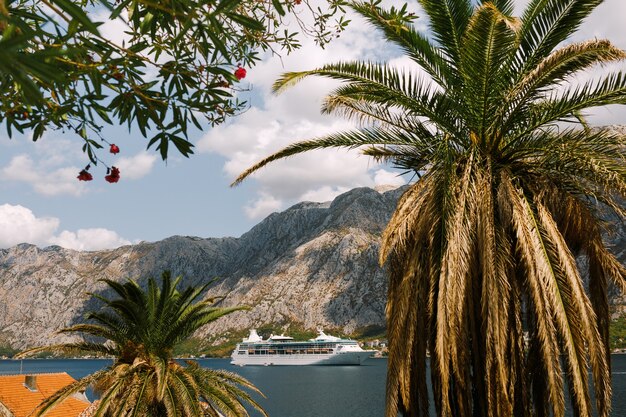 Weißes Kreuzfahrtschiff vor dem Hintergrund der felsigen Berge vor Anker in der Nähe der Städte von Dobrota