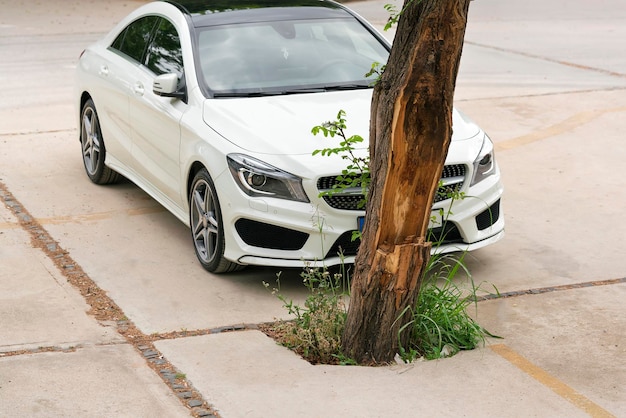 Weißes, modernes Auto auf dem Bürgersteig in der Nähe eines Baumstamms