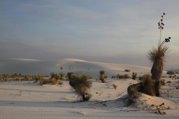 Weißes Sand-Nationaldenkmal gegen den Himmel