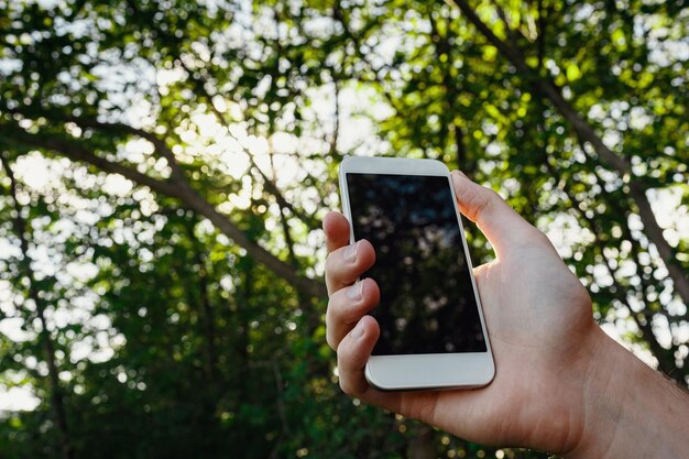 Weißes Smartphone der männlichen Hand über unscharfem Bild des grünen Waldhintergrundes