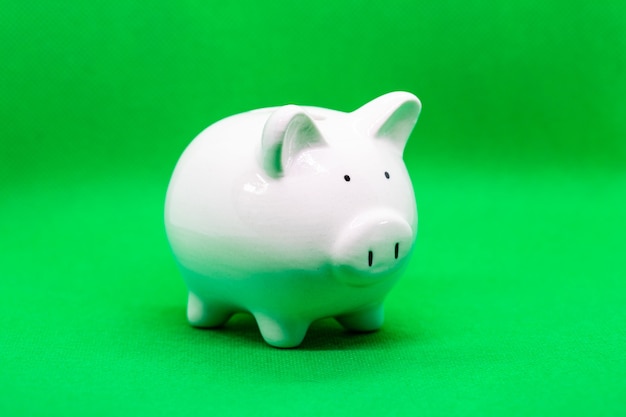 Weißes Sparschwein auf grünem Hintergrund zum Sparen von Geldvermögen und Finanzkonzept und das Exemplar für Design.