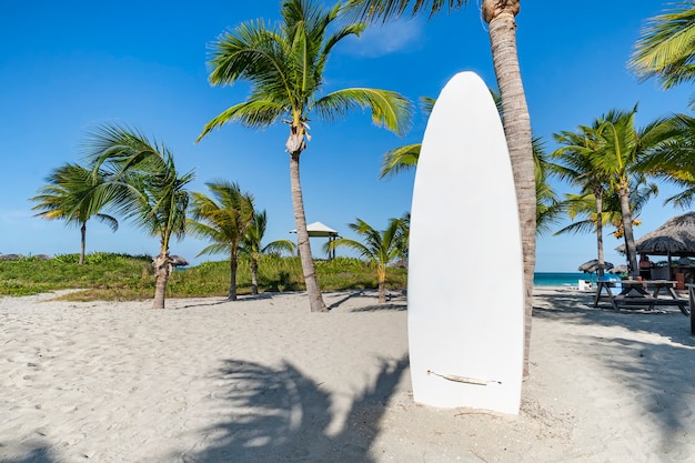 Weißes Surfbrett am Sandstrand. Stand-Up-Paddle-Kurse. Schöne tropische Landschaft der Insel mit Palmen und weißem Sand am Strand. Das Konzept des Wassersports.