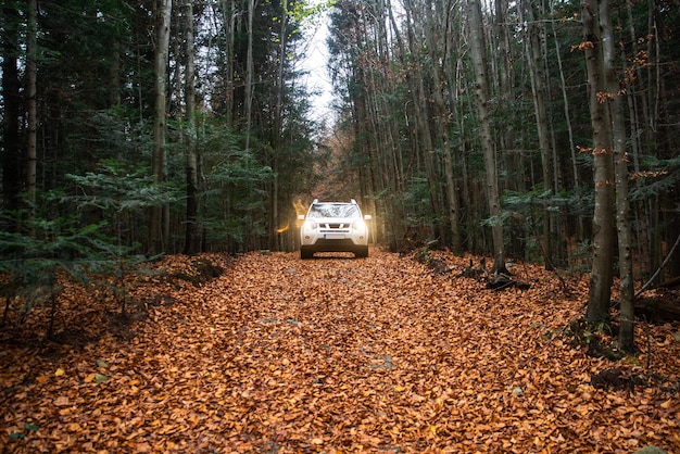 Weißes SUV-Auto auf der Trail Road im Herbstwald