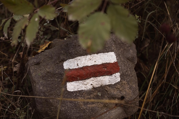 Weißes und rotes Orientierungsschild auf Stein im Wald, der den Wanderweg für Touristen markiert