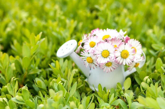 Weißrosa Blumen in einer weißen Mini-Gießkanne auf einem grasbewachsenen Hintergrund