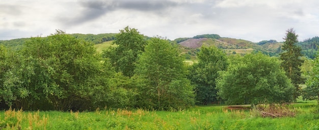 Weite grüne Landschaft mit Bäumen und Gras Üppiges Feld an einem bewölkten Tag außerhalb Ländliches Ackerland mit Hügeln in Dänemark Ruhige Widescreen-Naturszene des Waldes Ruhige lebendige Wildnis im Sommer